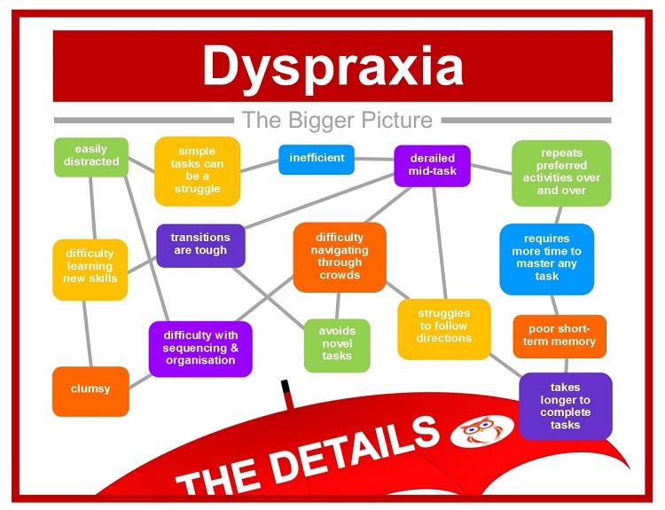 Dyspraxia: the bigger picture